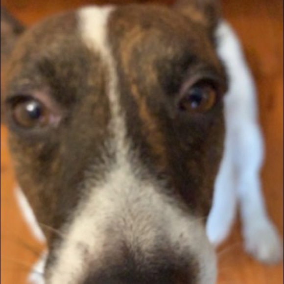 hello! - Picture 2 of 2